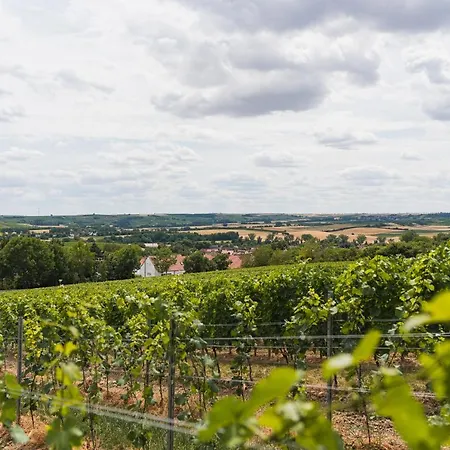 Apartamento In Den Weinbergen Bei Mainz - Mit 2x Doppelzimmern, 1x Großes Wohnzimmer, Bad&küche Stadecken-Elsheim