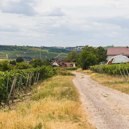 In Den Weinbergen Bei Mainz - Mit 2x Doppelzimmern, 1x Großes Wohnzimmer, Bad&küche *