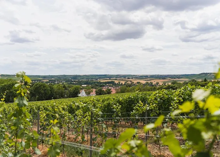 Apartamento In Den Weinbergen Bei Mainz - Mit 2x Doppelzimmern, 1x Grosses Wohnzimmer, Bad & Kueche Stadecken-Elsheim