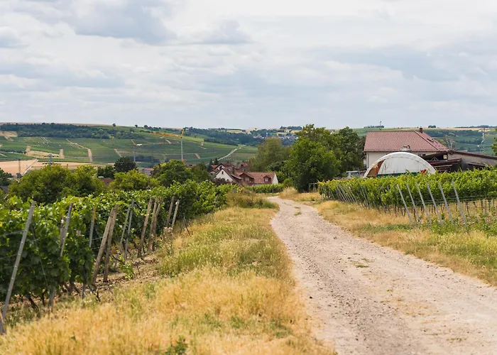 In Den Weinbergen Bei Mainz - Mit 2x Doppelzimmern, 1x Grosses Wohnzimmer, Bad & Kueche *