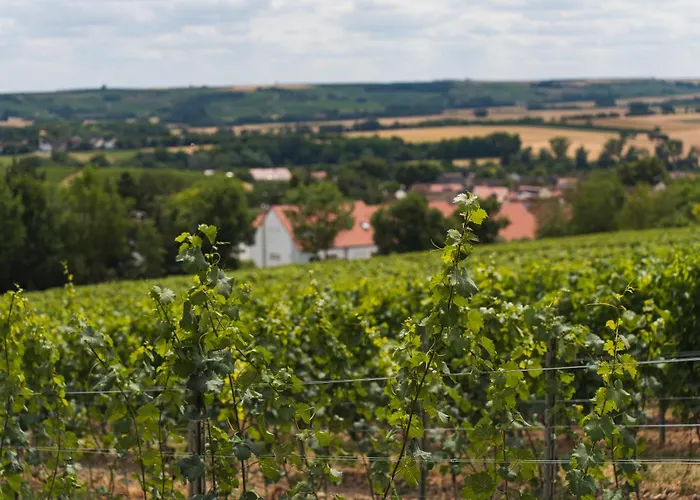 In Den Weinbergen Bei Mainz - Mit 2x Doppelzimmern, 1x Grosses Wohnzimmer, Bad & Kueche Apartamento *